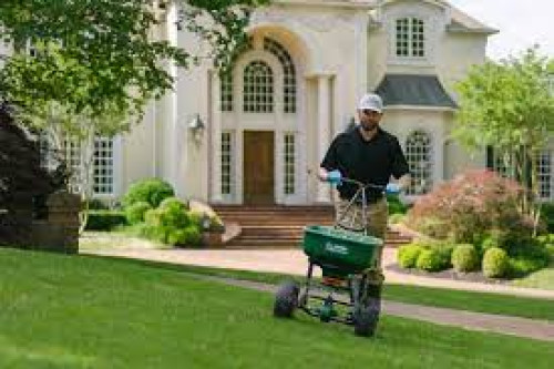 Fertilizing your lawn regularly helps to prevent weeds and disease and promotes strong root growth.